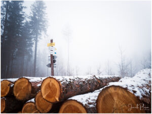 Rozdroże pod Grzybowcem